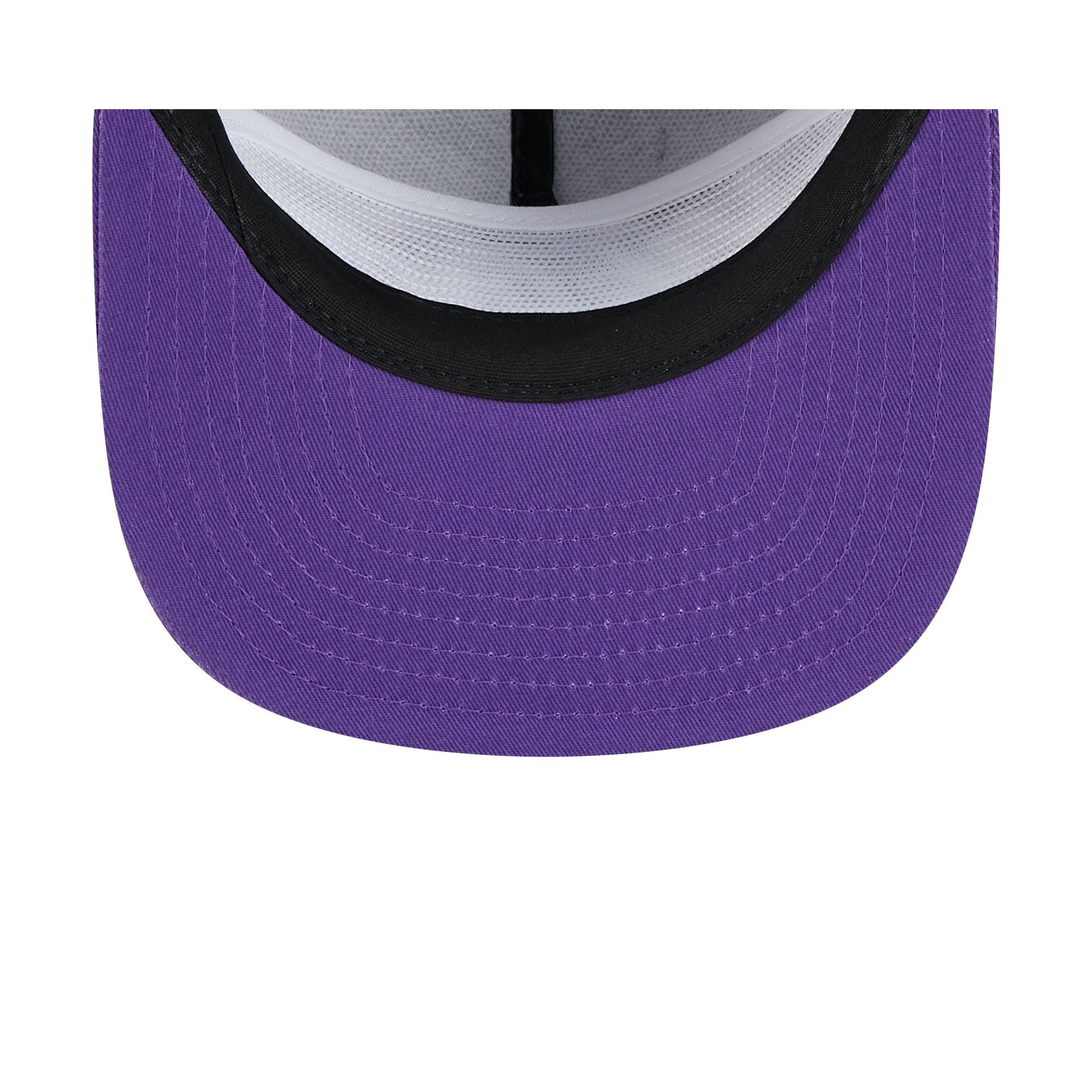Minnesota Vikings Team Text Golfer Hat