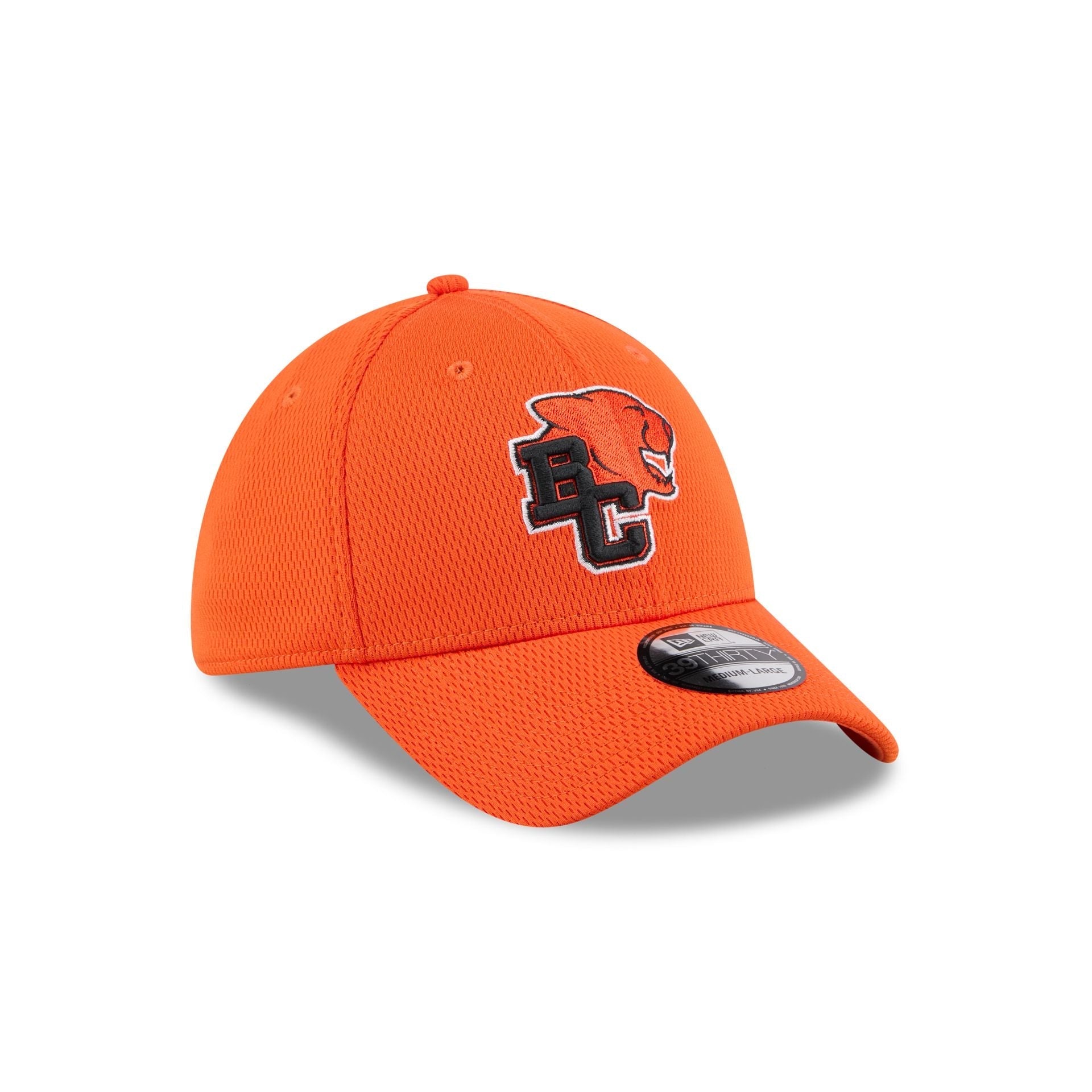 BC Lions Rear Wordmark 39THIRTY Stretch Fit Hat