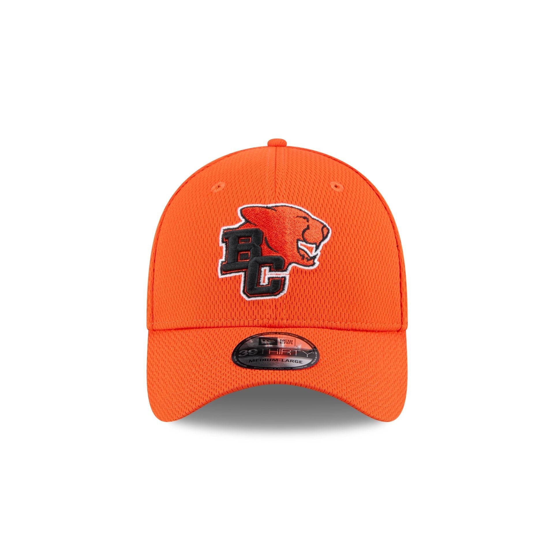 BC Lions Rear Wordmark 39THIRTY Stretch Fit Hat