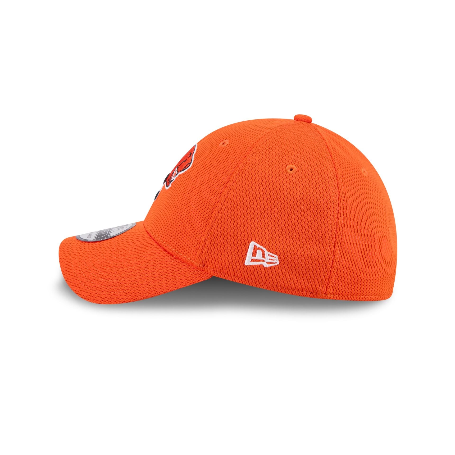 BC Lions Rear Wordmark 39THIRTY Stretch Fit Hat