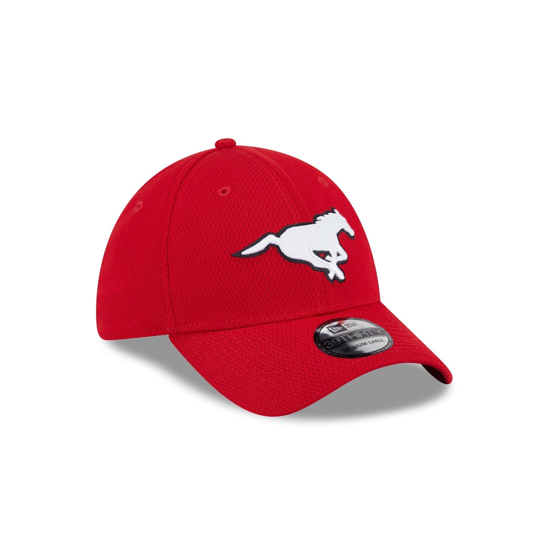 Calgary Stampeders Rear Wordmark 39THIRTY Stretch Fit Hat