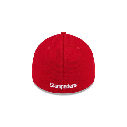 Calgary Stampeders Rear Wordmark 39THIRTY Stretch Fit Hat
