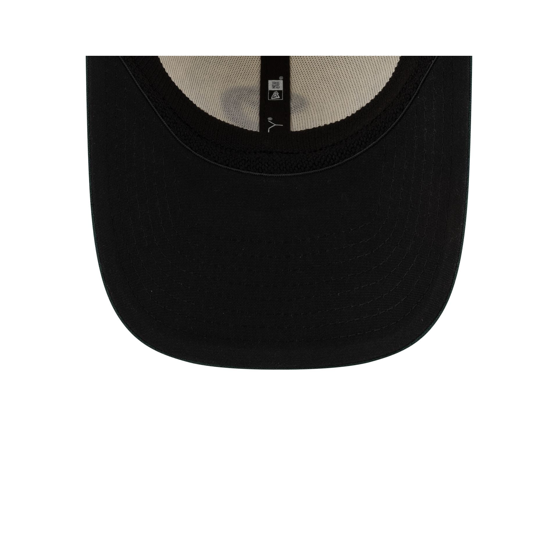 Pericos de Puebla LMB 100th Anniversary Home 39THIRTY Stretch Fit Hat