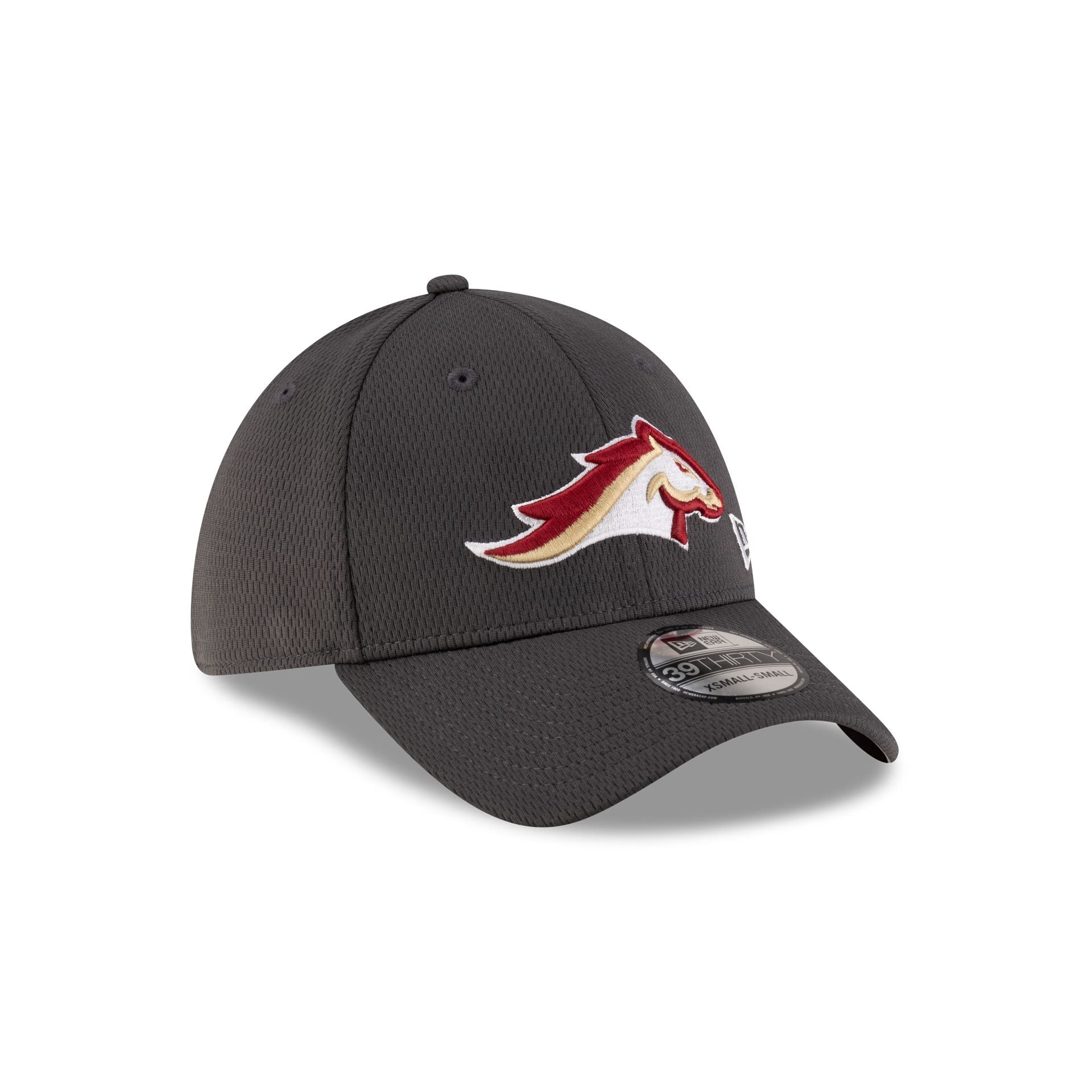 Birmingham Stallions Gray 39THIRTY Stretch Fit Hat