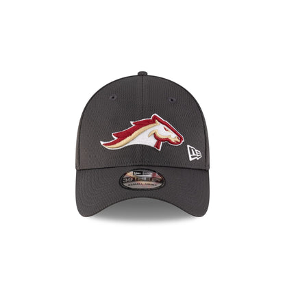 Birmingham Stallions Gray 39THIRTY Stretch Fit Hat