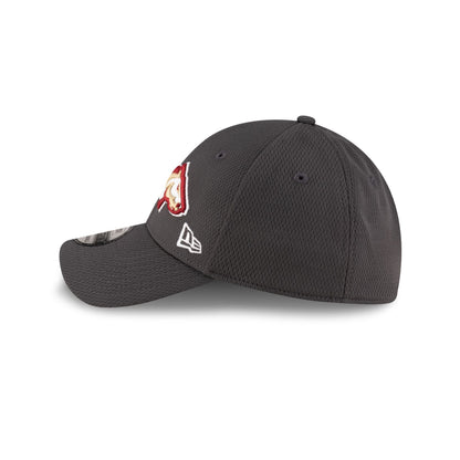 Birmingham Stallions Gray 39THIRTY Stretch Fit Hat