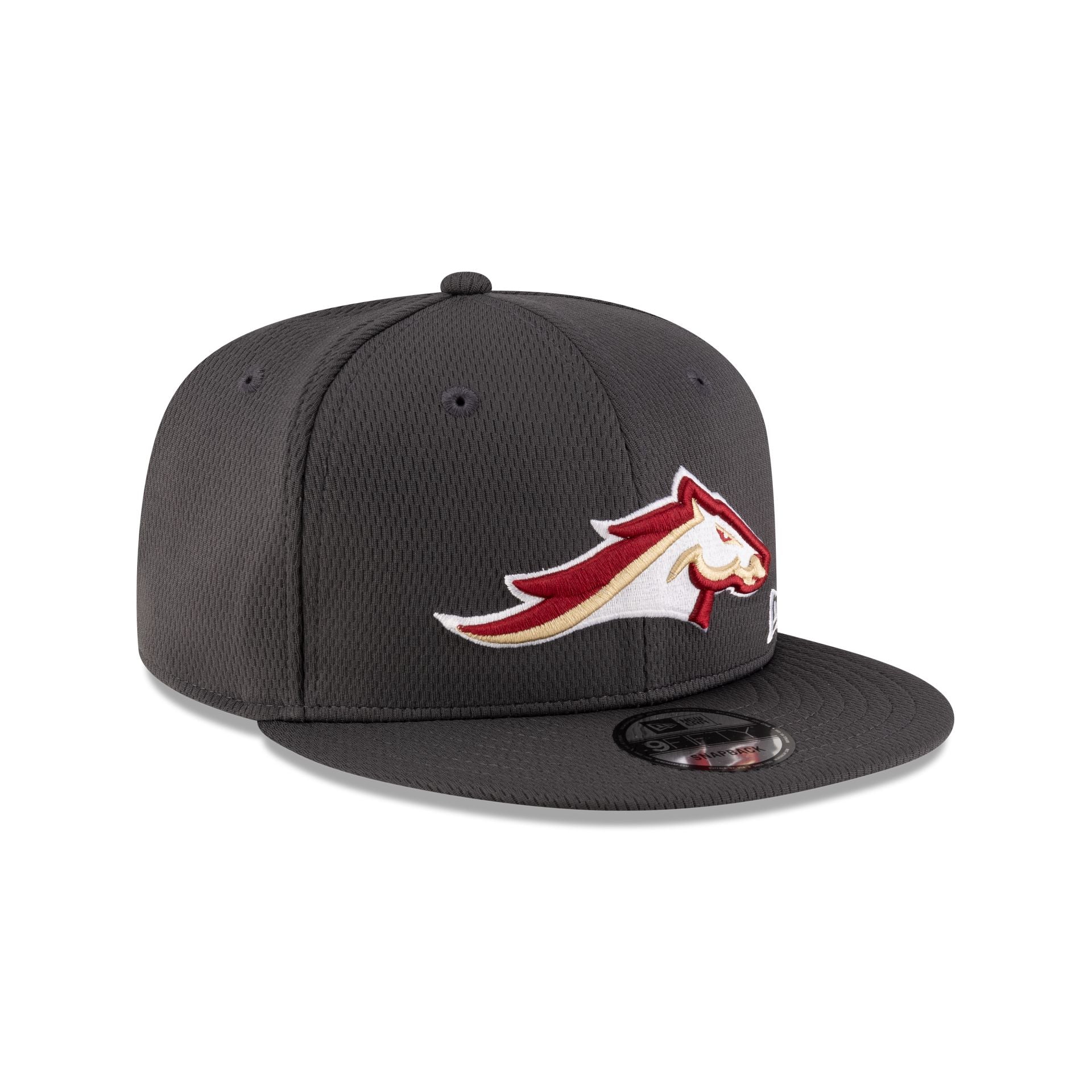 Birmingham Stallions Gray 9FIFTY Snapback Hat