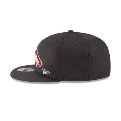 Birmingham Stallions Gray 9FIFTY Snapback Hat