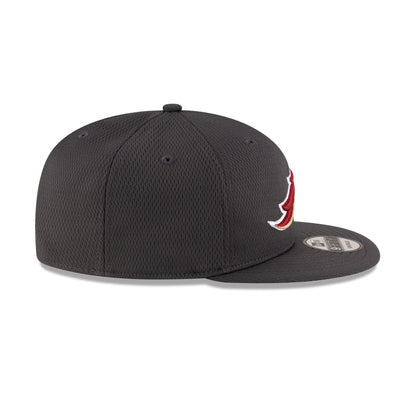 Birmingham Stallions Gray 9FIFTY Snapback Hat