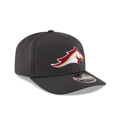 Birmingham Stallions Gray 9SEVENTY Stretch-Snap Hat