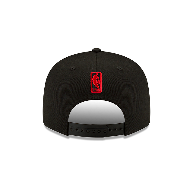 Toronto Raptors Basic 9FIFTY Snapback Hat